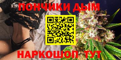 МДПВ Будённовск