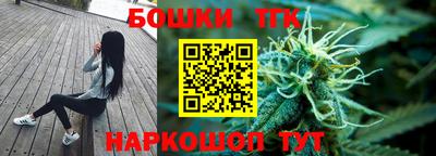 МДПВ Будённовск