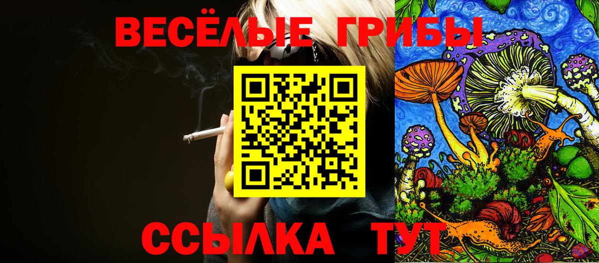 Галлюциногенные грибы Cubensis Ртищево